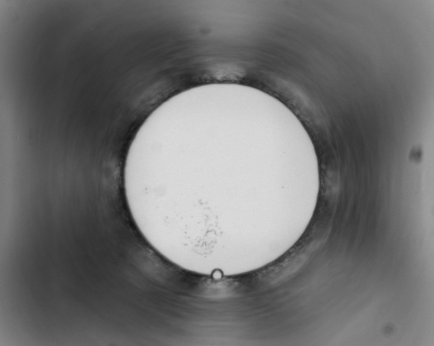 X0000102830321200809151046