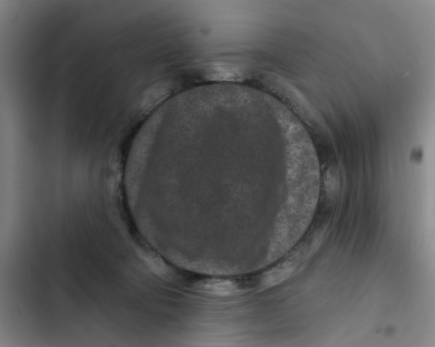 X0000102830322200809151046