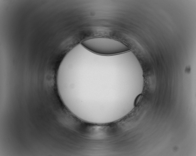 X0000102830323200809151046