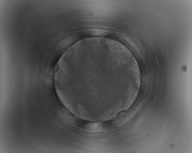 X0000102830325200809151046