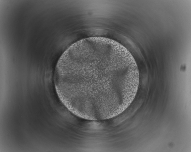 X0000102830326200809151046