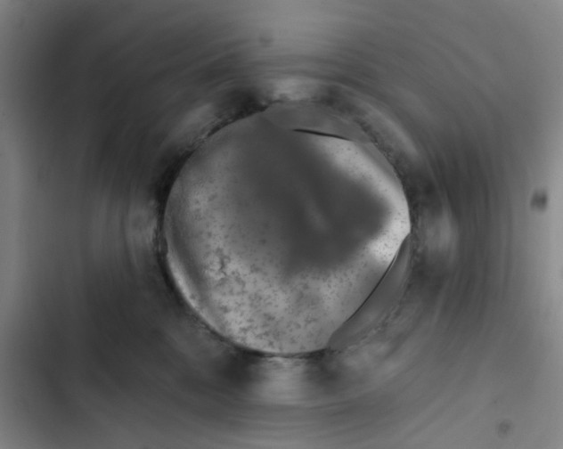 X0000102830328200809151046