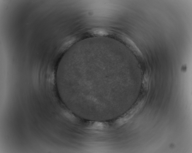 X0000102830330200809151046