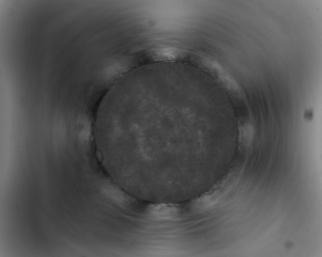 X0000102830331200809151045