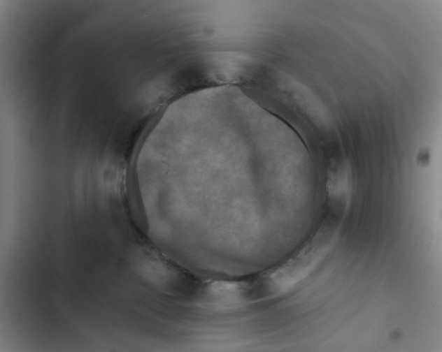 X0000102830332200809151045