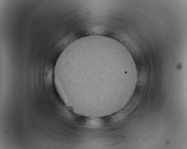 X0000102830334200809151045
