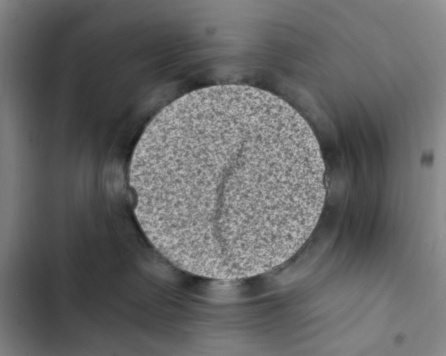X0000102830335200809151045