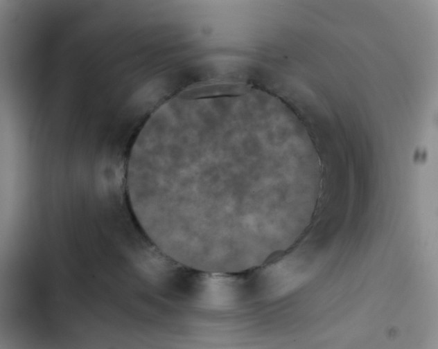X0000102830336200809151045