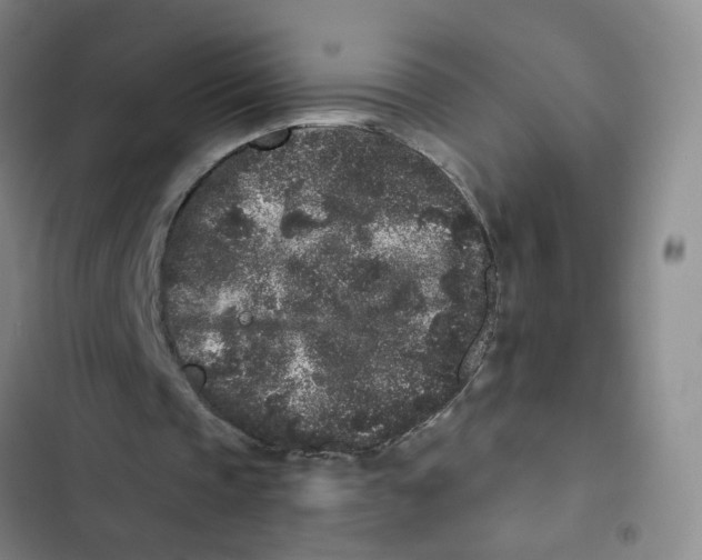X0000102830337200809151045