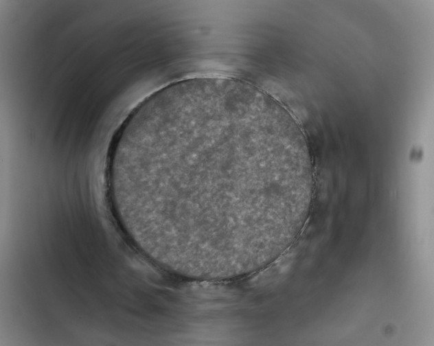 X0000102830338200809151045