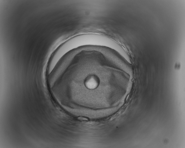 X0000102830340200809151045