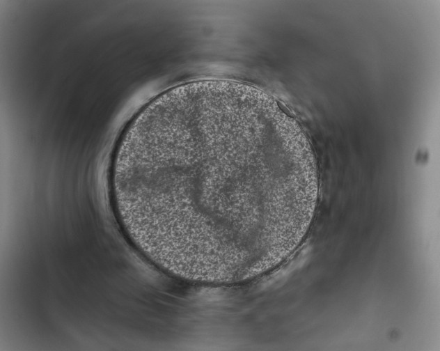 X0000102830341200809151045