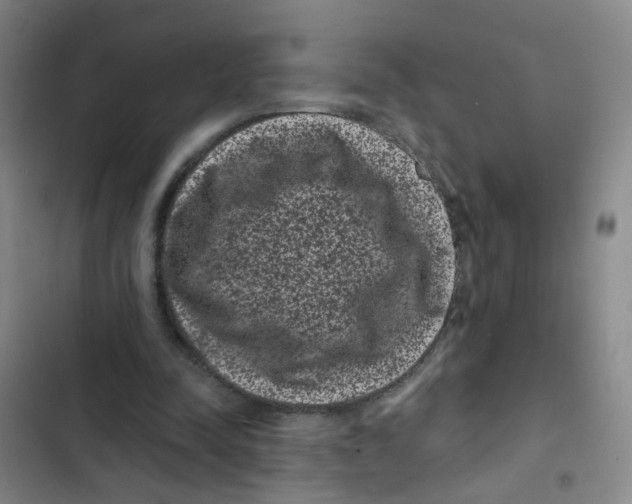 X0000102830342200809151045