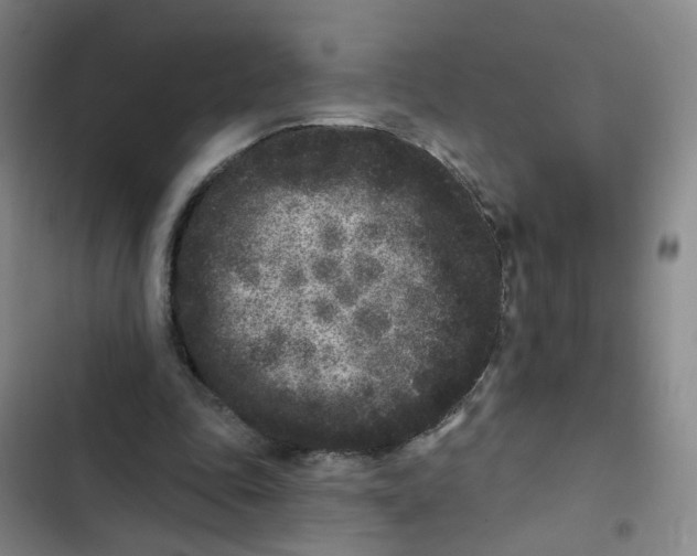 X0000102830343200809151045