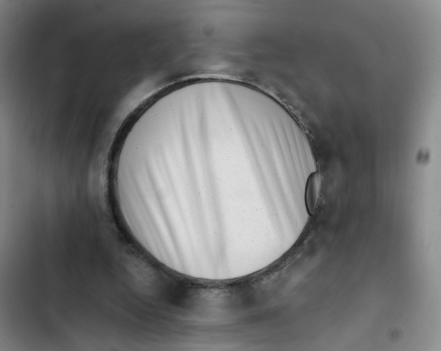 X0000102830344200809151045