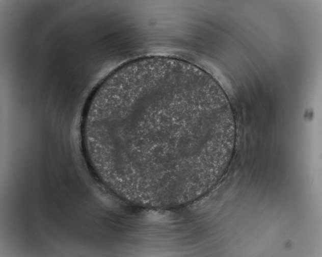 X0000102830346200809151045