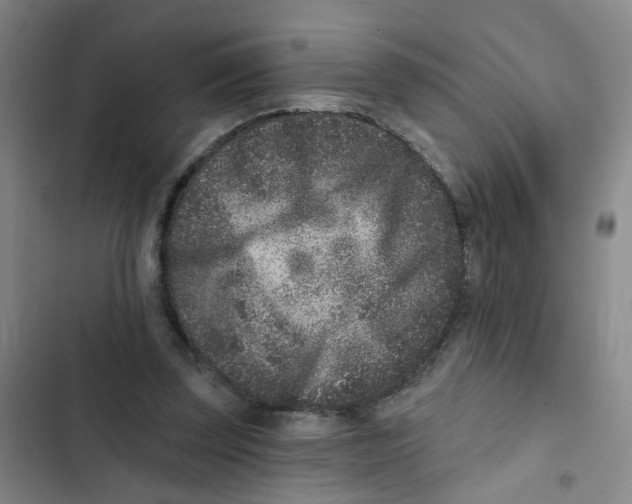 X0000102830347200809151045