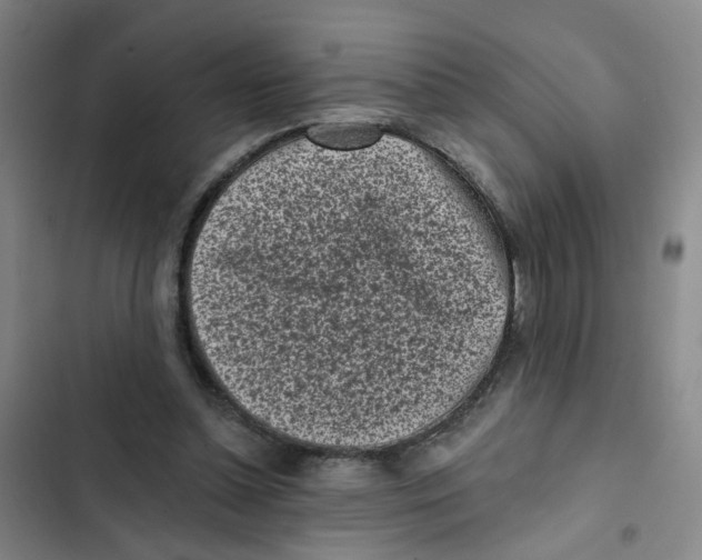 X0000102830348200809151045