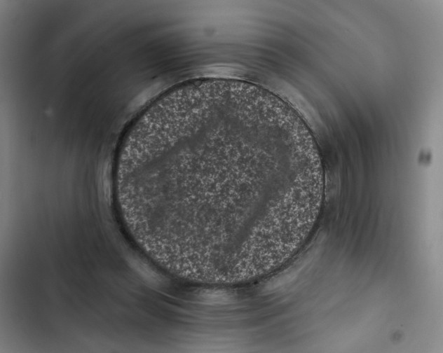 X0000102830349200809151045