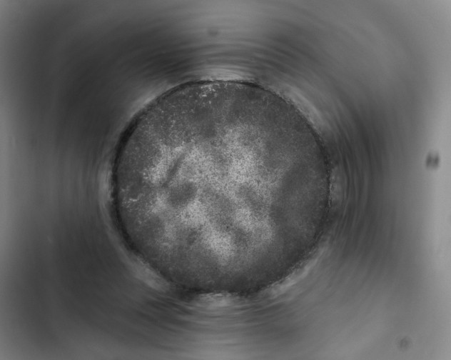 X0000102830351200809151045