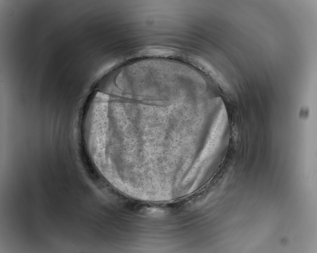 X0000102830352200809151045