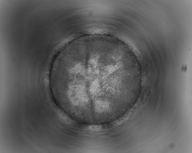X0000102830353200809151045