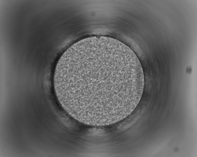 X0000102830354200809151045