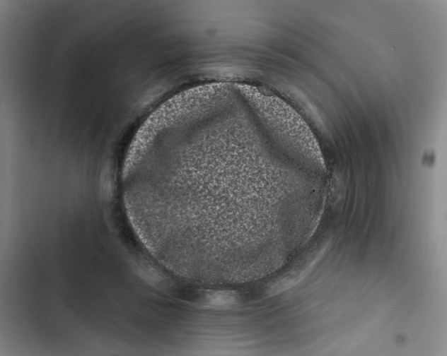 X0000102830355200809151045