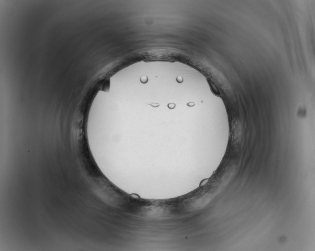 X0000102830356200809151045