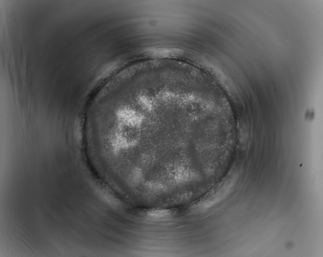 X0000102830357200809151045