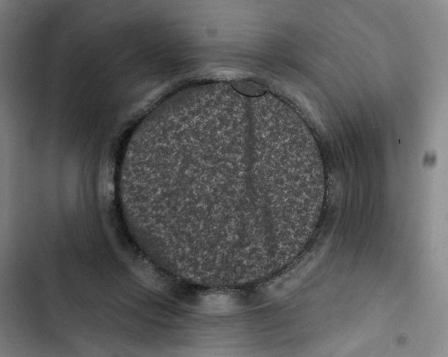 X0000102830358200809151045