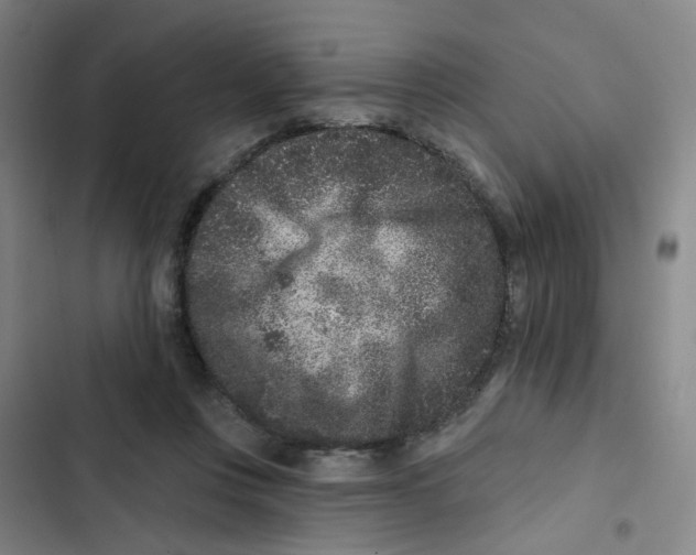 X0000102830359200809151045