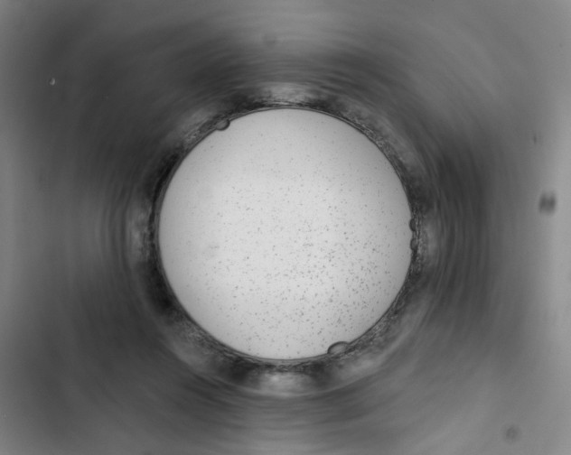 X0000102830360200809151045