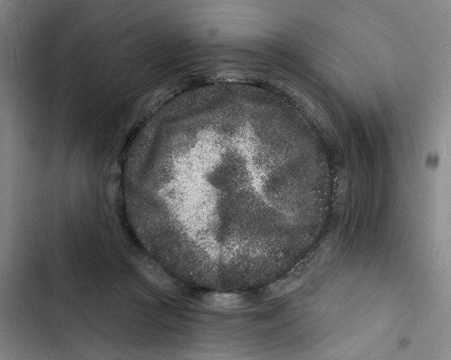 X0000102830361200809151045