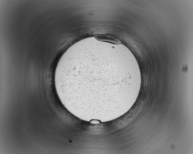X0000102830362200809151045
