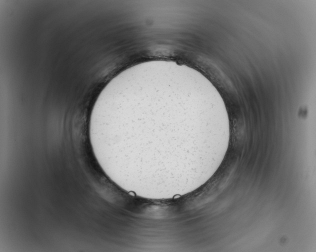 X0000102830364200809151045