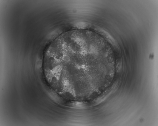 X0000102830365200809151045
