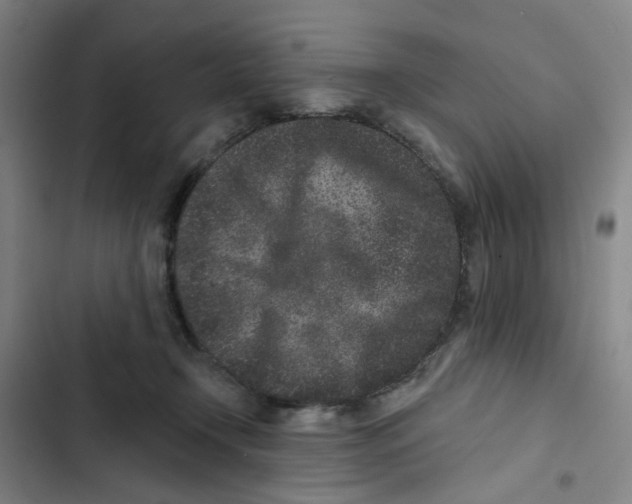 X0000102830366200809151045