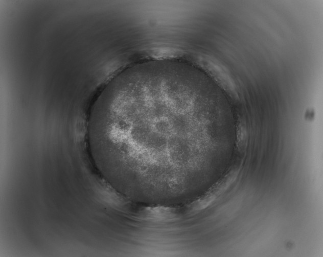 X0000102830367200809151045