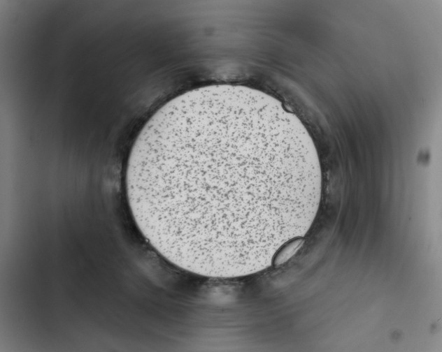 X0000102830368200809151045