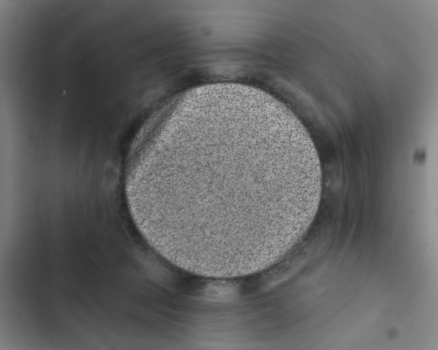 X0000102830369200809151045