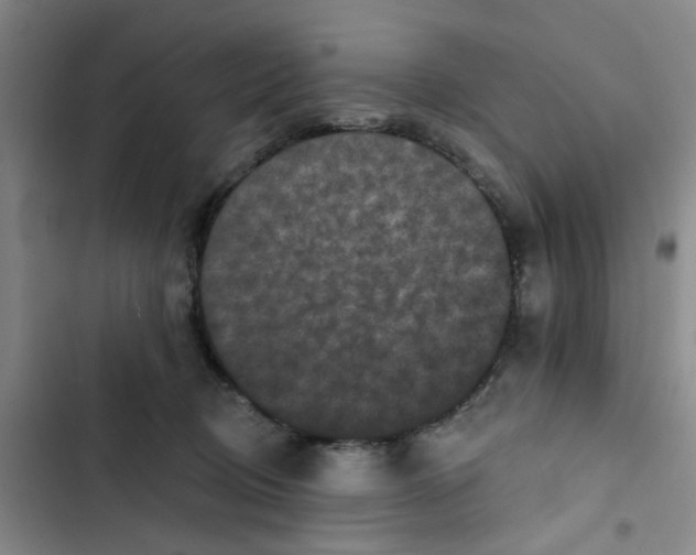 X0000102830370200809151045