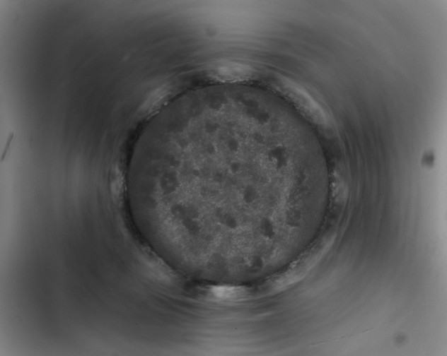 X0000102830371200809151045