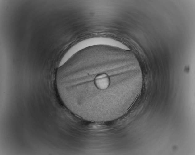 X0000102830372200809151045