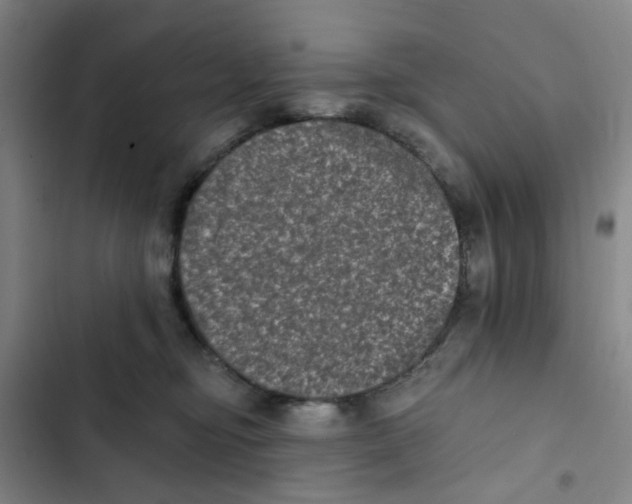 X0000102830374200809151045