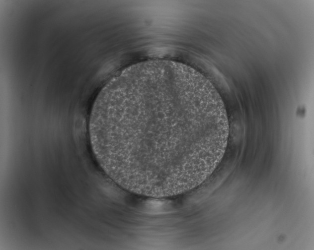 X0000102830375200809151045