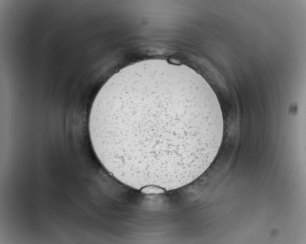 X0000102830376200809151045