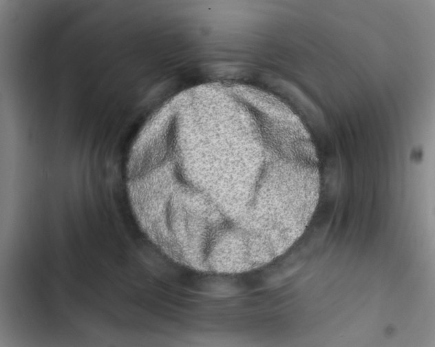 X0000102830377200809151045