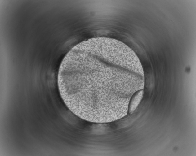 X0000102830378200809151045