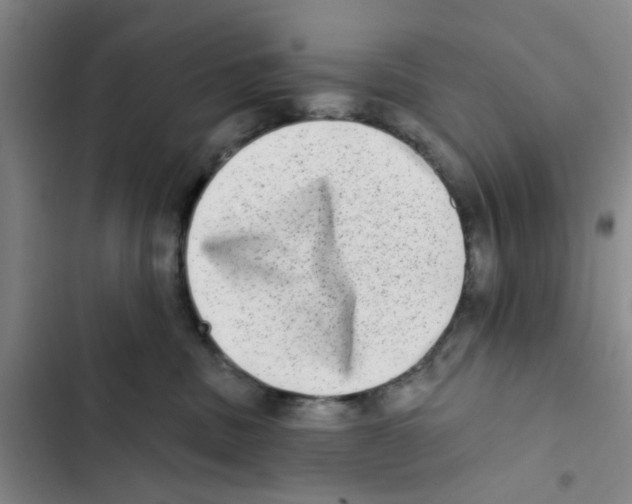 X0000102830379200809151045